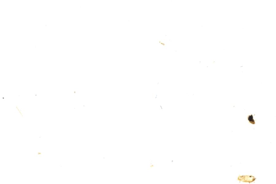 Image 93